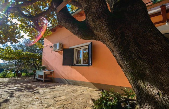 Holiday House Roses - Foto 16