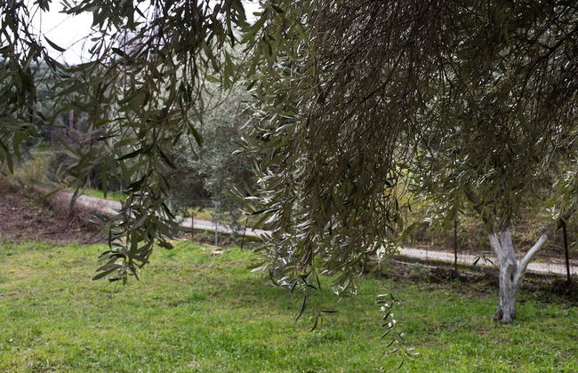 Cute Yellow Handmade House With Garden - Foto 60