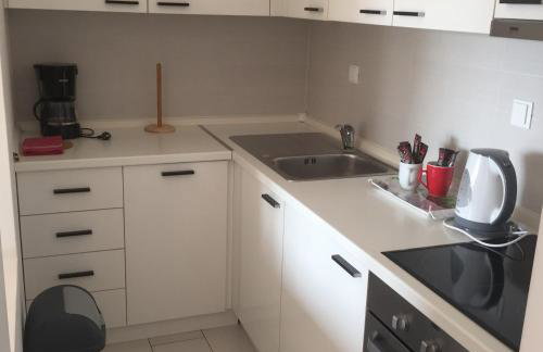 Nova Galerija Studio Ema i Apartman Anita- parking in garage - Foto 42