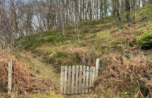 The Cabin In The Woods - Uk49023 - Foto 7