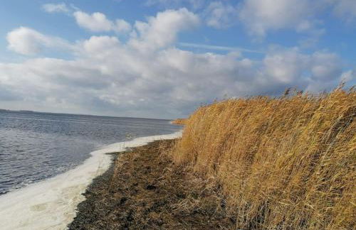 Dycke Haus 6 Comfortable holiday residence - Foto 31