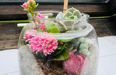 Heart of Celle - Photo 41