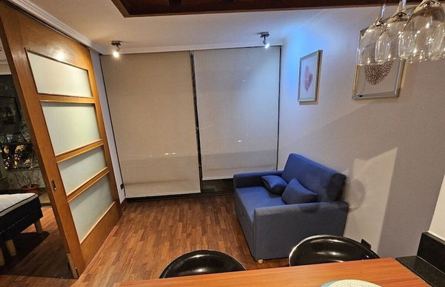 Manuel Montt apartrent - Foto 19