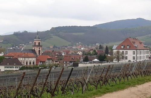 Gîte du forgeron - 6 à 8 personnes - Centre Alsace - Saint-Hippolyte - Foto 20