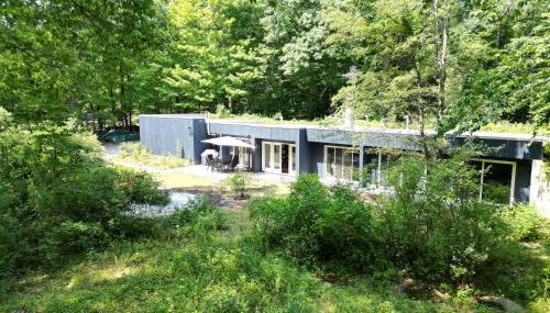 earthship forest exile - Foto 2