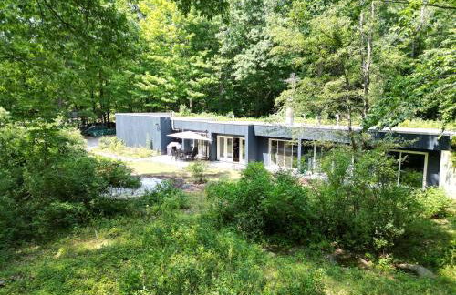 earthship forest exile - Foto 2