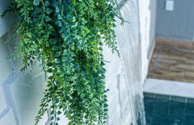 Villa Beija-Flor 1 - Suíte alexa com piscina privativa - Foto 46