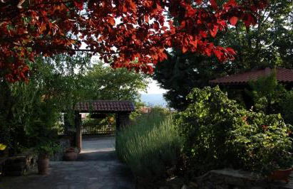 Mansion Viglatoras - Foto 19