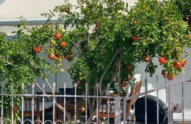 Anastasia’s Home - Photo 1