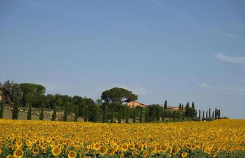 Holiday Home Near Lago di Chiusi With Pool - Foto 40