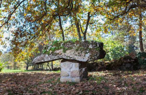 La Buenaventura del Tiétar - Foto 27