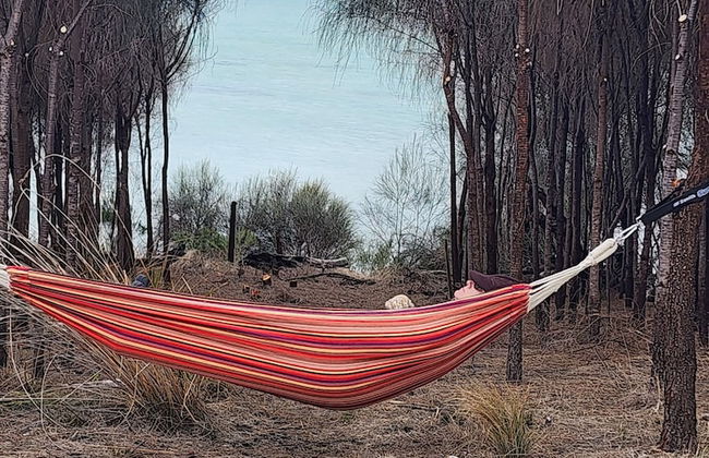 Flotsam Studio Accommodation - Photo 68