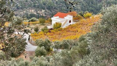 Manolates 360 - Photo 1, Garden