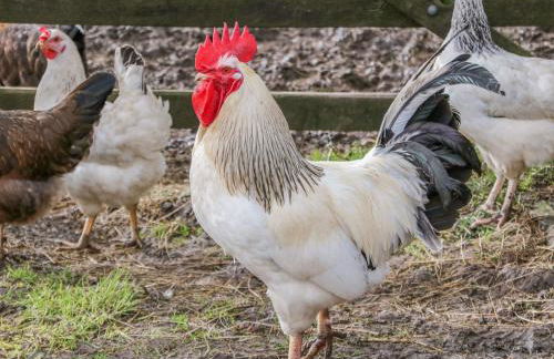 Five Wells Barn - Foto 16