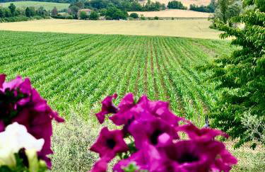 Casale Viridi - nel fresco delle colline Umbre - Foto 28