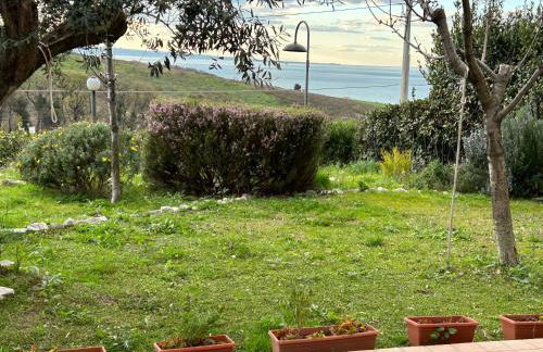 La casa delle farfalle - Foto 13