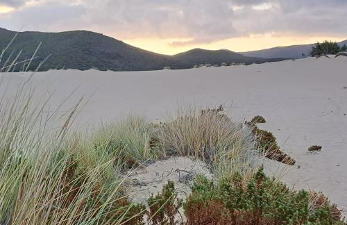 Borgo Ingurtosu - Photo 31