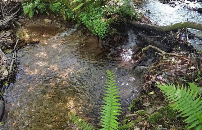 Roundhouse Yurt, Stunning Views, Totnes Dartmouth - Foto 27