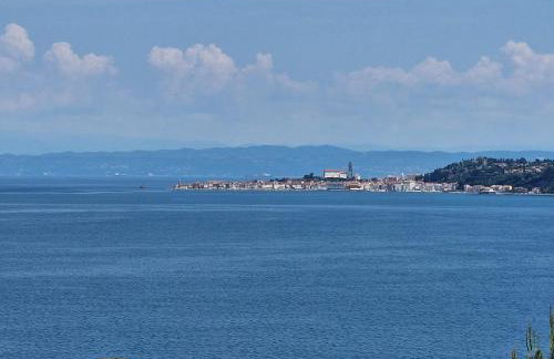 Villa del Golfo - Foto 17