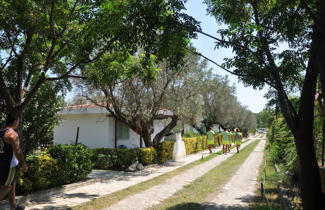 Villaggio Borgo degli Ulivi - Photo 71