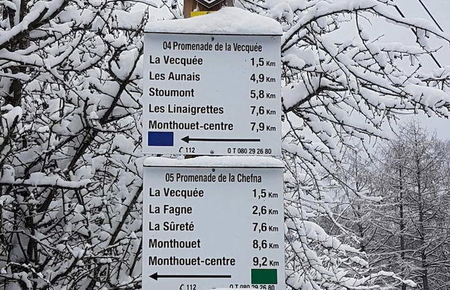 Heritage Villa in Spa With Garden - Photo 38