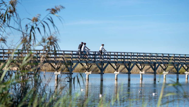 Découverte d'Albufeira en vélo électrique