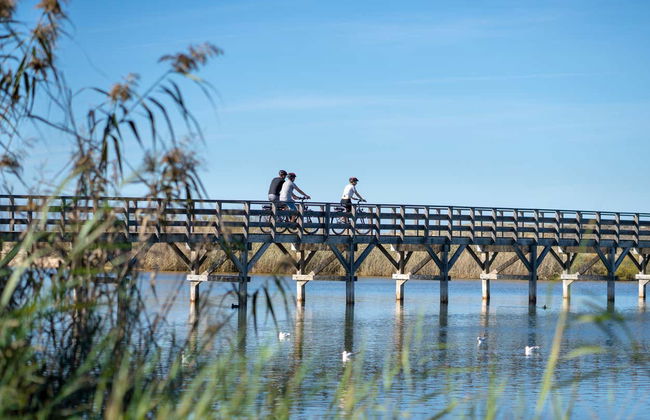 Albufeira Electric Bike Tour - Foto 3