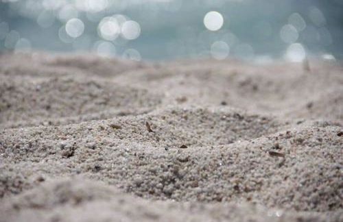 Near The Sea - Foto 12