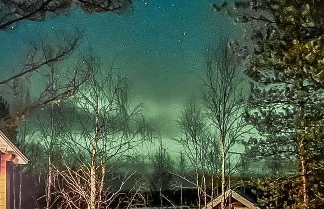 Koppelomaa - Photo 39