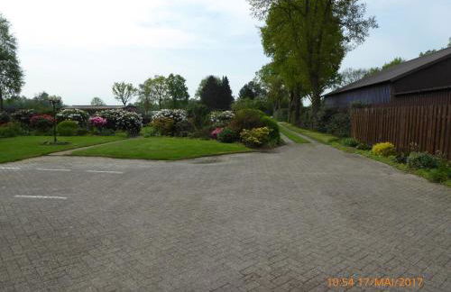 Schmidtfewo Moorgeist - Foto 5