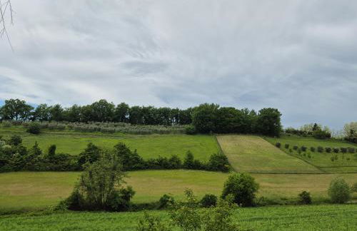 Casa Modi nel cuore del Mugello - Foto 32