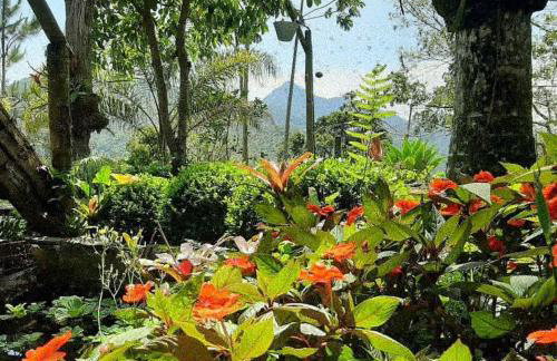 Chalé Pakere Bellavista - visão magnífica do vale e montanhas a mais de mil metros de altitude, wi-fi, sauna, piscina e água de nascente - locação do chalé sem prestação de serviços - Foto 67