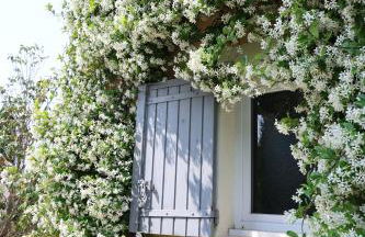 Bastide Magnolia - Gite et chambres d 'hôtes Les dépendances, Roussillon - Foto 11