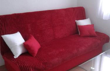 Dalmatian - Photo 18