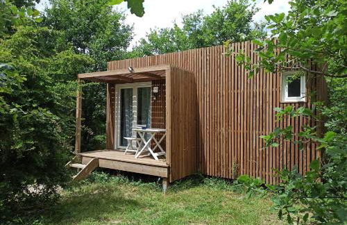 Studnature - Dunes - Foto 3