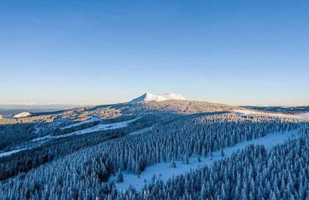 Wood log chalet - Foto 20