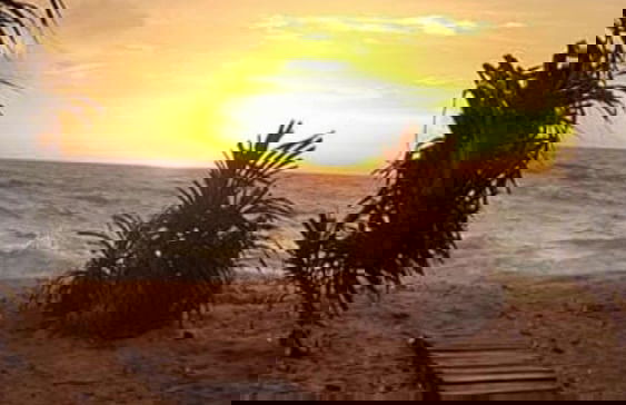 White Sand Villa Hikkaduwa - Foto 14