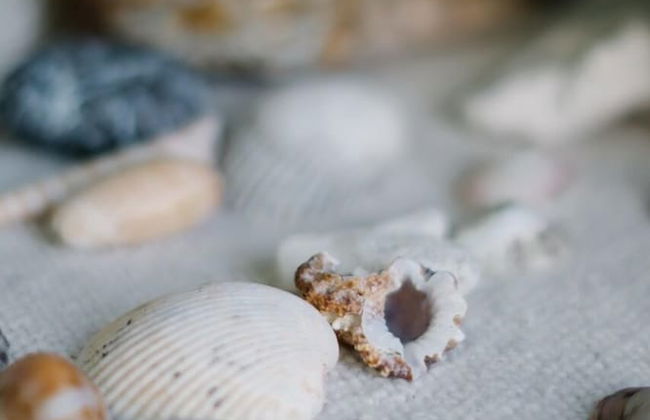 Apartamento Ganesha Liberia - Photo 22