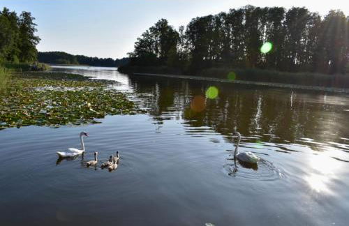 Ferienhaus M&M - Foto 9