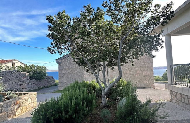 Perfect Apartment in Nature Park - Foto 17