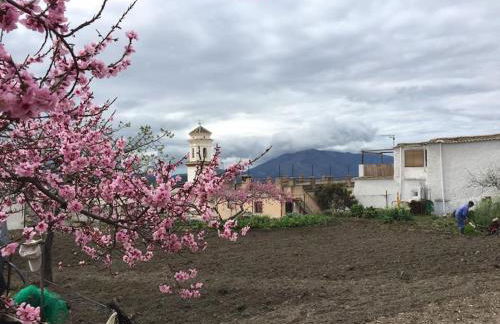 La casa de Paco y Ana - Foto 41