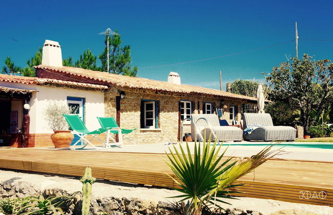 João Jungle - Foto 45