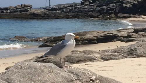 Les jardins du vivier - Foto 4