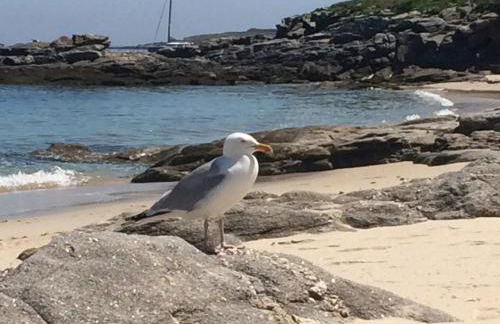 Les jardins du vivier - Foto 4