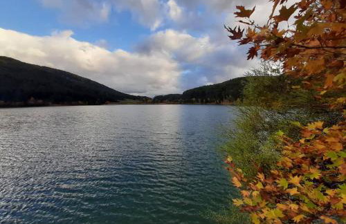 Arli House - Photo 43