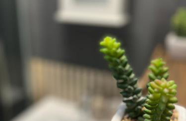 Cosy Home STUDIO - Foto 1