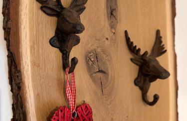 BergOase-Apart am Feldberg - Foto 15