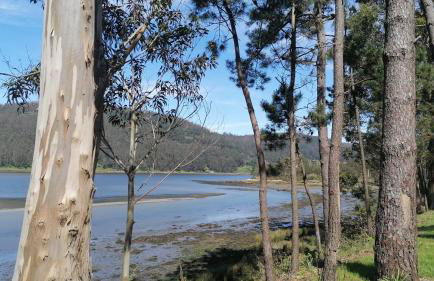 O lar da Tia Carmen - Foto 12