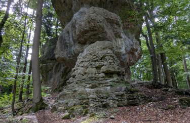 Villa Viola - Foto 33