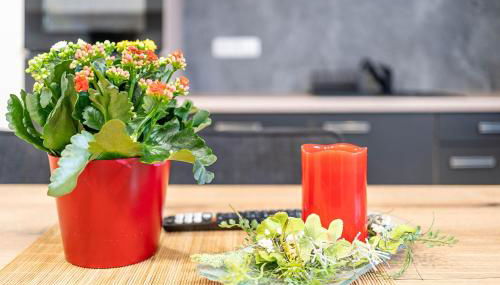 Monteurwohnung Kotte - Foto 4